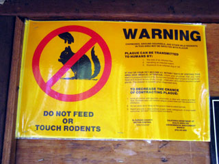 Plague Warning at South Upper Truckee Trailhead